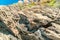 Macro of rocks with a wooden texture