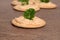 Macro salmon pate on cracker