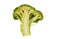 Macro section of broccoli