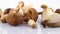 Macro shooting of several big and small mushrooms. Standing and lying. Rotating on the turntable isolated on the white