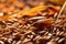 macro shot of barley grains used for whisky production