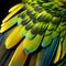 Macro shot of a beautiful green and yellow parrot feathers.