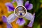 Macro shot of a bride and grooms rings in a purple flower after the rain