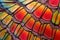 macro shot of a butterfly wing for a multicolored pattern