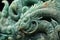 macro shot of carved jade dragon and phoenix
