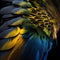 Macro shot of a colorful parrot feathers on a black background
