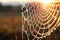 macro shot of a dew-kissed spider web glistening in sunlight