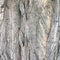 Macro shot of dry tree bark. Abstract textural background