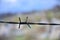 Macro shot of an element of old and rusty barbed wire with a blurred background. Fragment of a village fence of a territorial sit