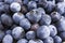 Macro Shot Of Fresh Blueberries