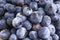 Macro Shot Of Fresh Blueberries