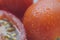 Macro shot of fresh tomatoes. Water drops over delicious vegetables