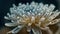 Macro Shot Of Frost Crystals On Chrysanthemum Surface