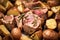 macro shot of garlic cloves on a seasoned lamb roast