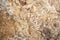 Macro shot of granite or marble stone structure with brown white marbling and spots. Marble stone surface with texture