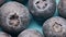 Macro shot of a group of berries on a blue background.