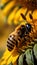 A macro shot of a honeybee on a sunflower illustration Artificial Intelligence artwork generated