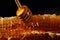 Macro shot of honeycomb dripping with deliciously golden honey