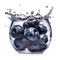 Macro shot of an ideal juicy delicious blueberry berries in water splashes, Generated AI berries