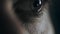 Macro shot of a man`s eye being depressed and tired. Drinking strong alcohol from bottle in loneliness and depression