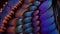 Macro shot of a peacock feathers in blue and purple.