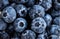 Macro shot of a pile of blueberries