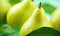 Macro shot of ripe pears with water droplets. Created by AI