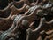 A macro shot of a rusted cycle chain