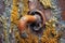 macro shot of rusty door handle with bacteria
