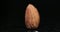 Macro shot of a single peeled roasted almond nut standing flat with moving light