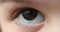 Macro shot of toddler girl's brown eye.
