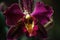 macro shot of vibrant orchid, with its unique and delicate petals