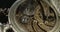 Macro shot of a Vintage pocket watch