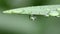Macro shot of a water droplet