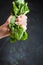 Macro shot of woman hand squeezing spinach lettuce salad leaves on the dark concrete background. Green drops of spinach juice