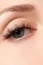 Macro shot of woman\'s beautiful eye with extremely long eyelashes. view, sensual look. Female eye with long eyelashes
