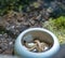 Macro shot of worm used as food for lizard