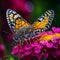 Macro shots, Beautiful nature scene. Closeup beautiful butterfly sitting on the flower in a summer garden. generative ai