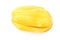 Macro single yellow jackfruit on white background