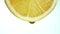 Macro of a slice of lemon, a drop falls in slow motion. Concept of fresh fruit.