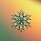 Macro snowflake ice crystals