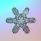 Macro snowflake ice crystals present natural