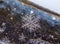 Macro of Snowflakes, frozen in ice