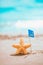 Macro starfish with summer flag at the seashore.