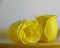 Macro still life photo of two yellow roses sitting on a saucer