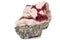Macro stone Erythrite mineral on white background