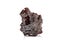 Macro stone Garnet mineral in rock on a white background