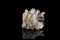 Macro stone mineral Calcite Galena pyrite on a black background