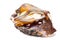 Macro stone mineral Mookaite Jasper on a white background