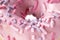 Macro sweet photo of pink donut. Texture donut closeup